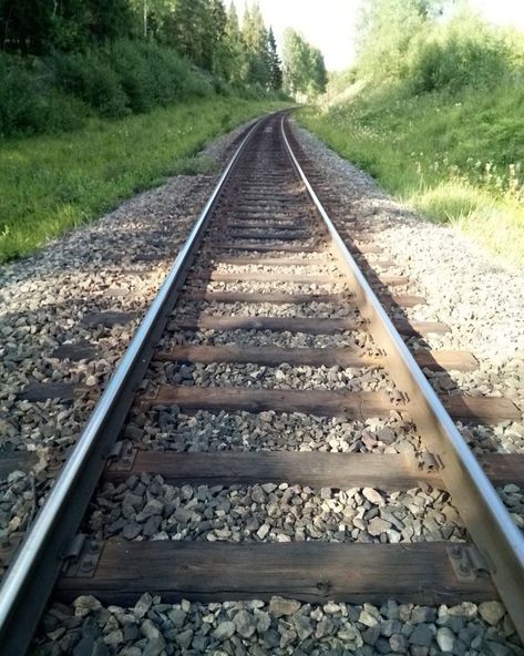 My #Morning #Pathway 🌲🌤️🌿🦆☕️😋🤚 : : : : #insta #instadaily #ınstagood #minnesota #MN #trail #path #travel #monday #holiday #laborday Holocost Art, Train Tracks Aesthetic, Train Tracks Photography, Monday Holiday, Orsay Museum, Train Wallpaper, Rail Train, Scenic Railroads, Railroad Photography