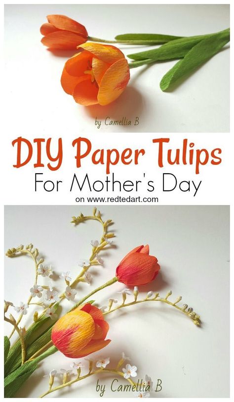 Realistic Paper Tulip Craft - learn how to make paper tulips for Spring and Mother's Day. Beautiful Paper Tulip Flower DIY. Love how gorgeous these are to make. We love Paper Spring Crafts #papercrafts #spring #paperflower #flower #tulip #papertulip Paper Spring Crafts, Tulip Craft, Paper Tulips, Paper Spring, Diy Mother's Day Crafts, Diy Fleur, Red Ted Art, Fleurs Diy, Spring Crafts For Kids