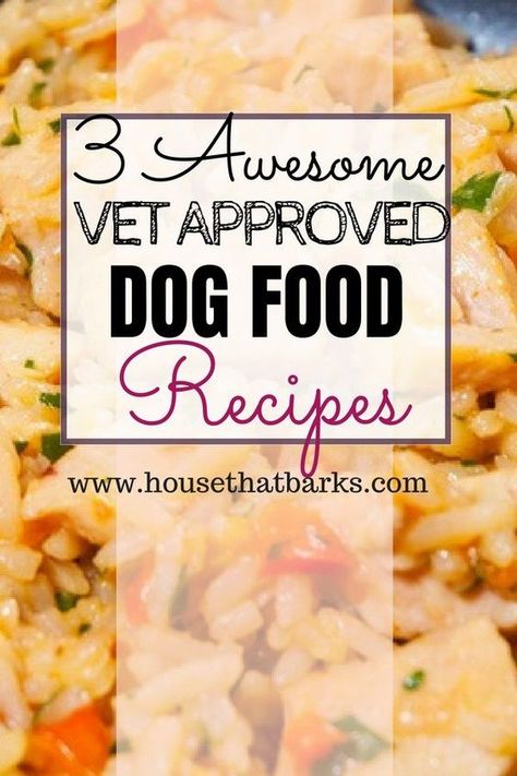 Cooking For Your Dog Food Recipes, Limited Ingredient Dog Food Recipes, Dog Food Recipes With Lentils, Dog Oatmeal Food, How To Cook For Your Dog, Homemade Dog Food Guide, Air Dried Dog Food, Homemade Dog Food For Small Breeds, Homemade Dog Food With Sweet Potatoes