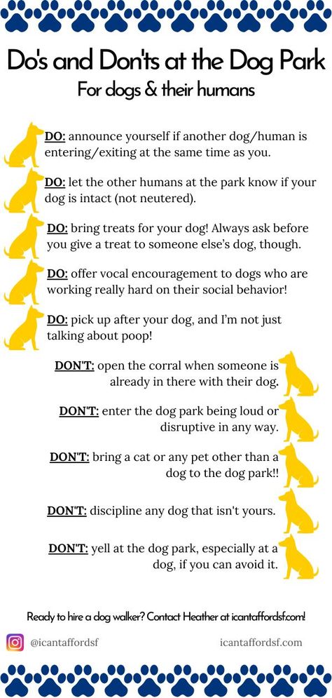 Dog Park Etiquette, Lacrosse Training, Behavior Board, Social Etiquette, Etiquette Rules, Dog Parks, Basic Dog Training, Dos And Don'ts, Social Behavior