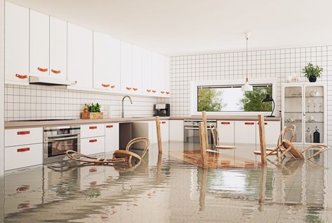 Water Damage Repair, Emergency Water, Flood Damage, Sell My House, Flood Insurance, Flood Zone, Mold Remover, Steam Cleaning, Restoration Services