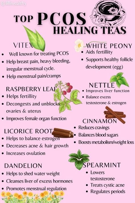 Hormone Nutrition, Healing Teas, Love Herbs, Womb Healing, Healing Tea, Fertility Health, Healthy Hormones, Menstrual Health, Feminine Health