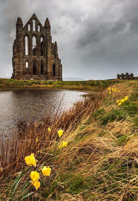 Whitby Abbey Abandoned Abbey, Medieval Places, Whitby Abbey, England Countryside, Gothic Buildings, Yorkshire Dales, Beautiful Castles, Old Building, English Countryside