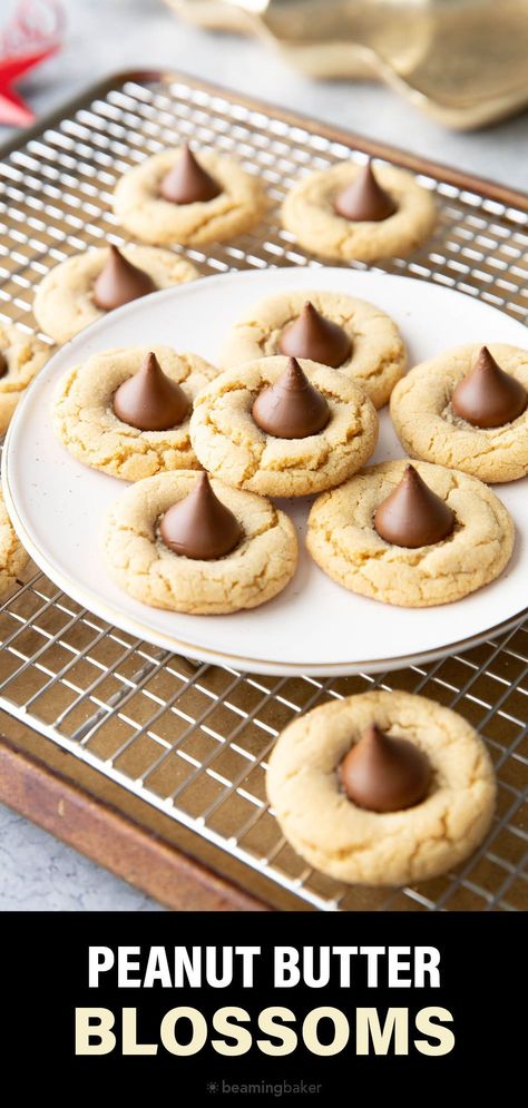 Peanut Butter Blossoms from Beaming Baker. Chewy and crispy peanut butter cookies topped with a rich chocolate kiss make for deliciously classic Peanut Butter Blossoms! Pb Blossoms Recipe, Peanuts Butter Blossoms, Pb Blossom Cookies, Betty Crocker Peanut Butter Blossoms, Soft And Chewy Peanut Butter Blossoms, Sally’s Baking Peanut Butter Blossoms, Beaming Baker, Peanut Butter Kiss, Peanut Butter Blossom