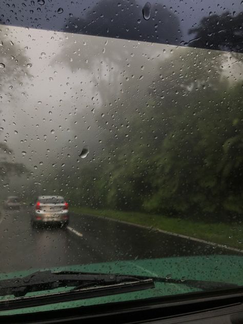 #rainforest #rain #photography #nature #roadtrip #aesthetic Rainy Road Trip, Rain Photography Nature, Rainy Road, Roadtrip Aesthetic, Rain Photography, Photography Nature, Road Trip, Road, Photography