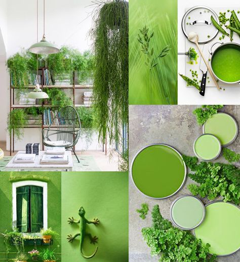 Pantone Trends, Pantone 2017, Green Color Scheme, Pantone Color Of The Year, Estilo Tropical, Design Remodel, Green Paint, Color Of The Year, Colour Schemes