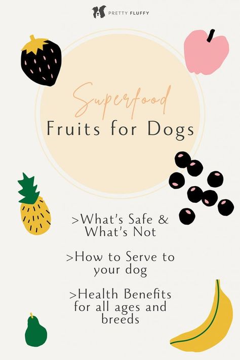 What are the healthiest fruits dogs can eat? Here's our top 10!If you’ve ever asked yourself ‘what fruit can dogs eat?’ – you’re certainly not alone! With the addition of fruity friends to your dog’s belly, you can help nourish your best friend from the inside out. From strawberries to bananas we’ve chosen 10 of our favourite superfood fruits for dogs that have excellent health properties, and are completely safe fruits for your dog to eat. Superfood Fruits, Fruit Dogs Can Eat, Can Dogs Eat Blueberries, Can Dogs Eat Apples, Can Dogs Eat Bananas, Can Dogs Eat Strawberries, Fruits For Dogs, Living With Dogs, Dog Treats Homemade Recipes