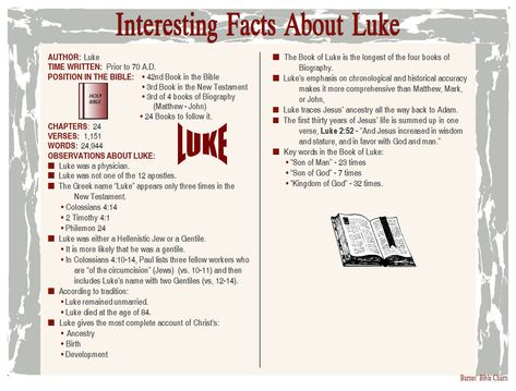 Interesting Facts about Luke Luke In The Bible, Book Of Luke Bible Study, Luke Bible Study, Bible Chronology, Luke Bible, Book Of Luke, Bible Charts, Inductive Bible Study, Bible Books