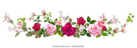 Panoramic view: bouquet of roses, spring blossom. Horizontal border: red, mauve, pink flowers, buds, green leaves on white background. Digital draw illustration in watercolor style, vintage, vector Datum Tattoo, Flower Header, Flower Border Clipart, Molduras Vintage, Blue Lotus Flower, Border Clipart, Fleur Orange, Types Of Roses, Flower Circle