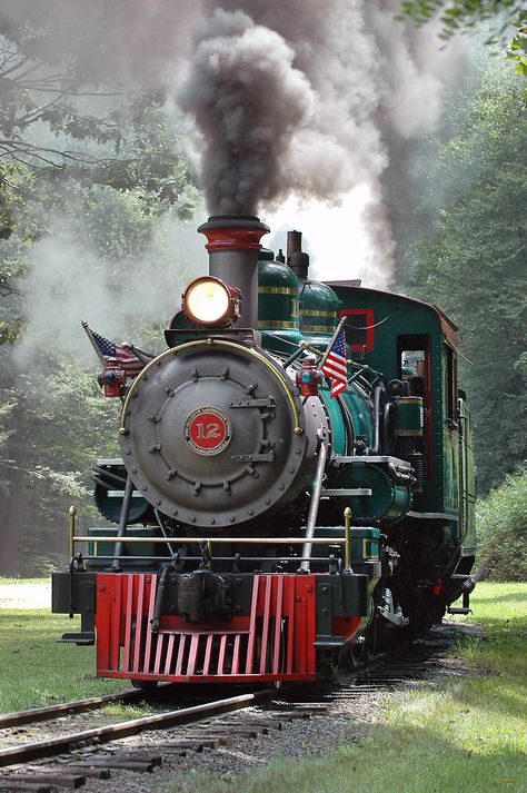 East Tennessee & Western North Carolina Railroad #12 "Tweetsie" Baldwin 4-6-0 Narrow Gauge (Restored and operated by Tweetsie Railroad,, Blowing Rock, NC) Steam Trains Photography, Steam Engine Trains, Scenic Railroads, Choo Choo Train, Railroad Photography, Train Art, Train Photography, Old Trains, Old Train