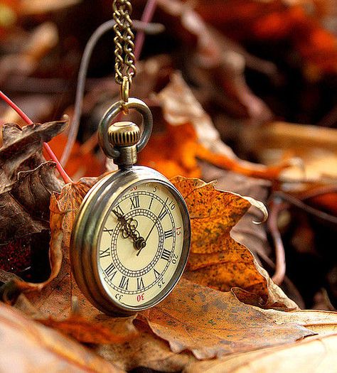 ...☆... . --------------------------------- Old Pocket Watches, Raindrops And Roses, Antique Pocket Watch, Old Clocks, Clock Art, Tick Tock, Beautiful Wallpapers, Pocket Watch, Autumn Leaves