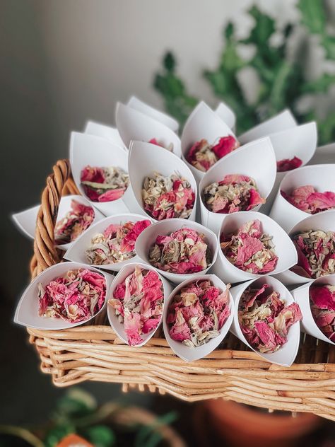 Confetti Canon Wedding, Flower Confetti Cones, Flower Confetti Wedding, Wedding Cones, Dried Flower Confetti, Welsh Wedding, Dried Flower Wedding, Throwing Confetti, Confetti Cones