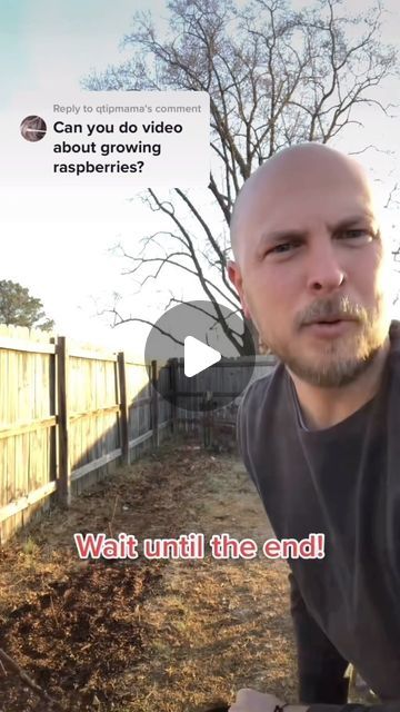 Salty Acres on Instagram: "Anyone can grow RASPBERRIES! If you are seeing this video you can get some at our cheapest price right on our website! Use code “RASPBERRIES10” to get 10% off our FALL GOLD raspberry plants on SaltyAcresNC.com  #raspberry #berry #berries #raspberries #fallgold #fruit #growyourownfood #gardentipsandtricks #gardening #garden #backyardgarden" Raspberry Bushes Trellis, Raspberry Plants Growing, Raspberries Garden, Raspberry Garden, Grow Raspberries, Raspberry Plant, Raspberry Trellis, Raspberry Bush, Growing Raspberries