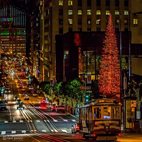 California Street - San Francisco Photo by: Raul Panelo Christmas In San Francisco, San Francisco Photos, Car Christmas, Christmas In The City, San Fernando Valley, San Francisco City, Cable Car, San Fran, Christmas 2016