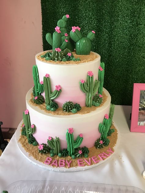 Southwestern Birthday Cake, Cactus Themed Cake, Pink Cactus Party, Cactus Sheet Cake Ideas, Desert Themed Cake, Taco About A Baby Cake, Cactus Cake Design, Cactus Birthday Party Ideas, Desert Cake Theme