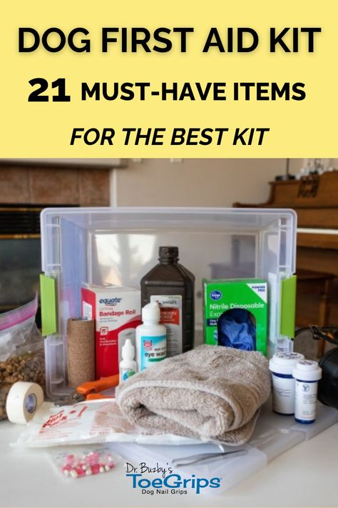 Do you have a dog first aid kit? If not, this article is for you! Integrative veterinarian Dr. Julie Buzby explains what to put in your dog first aid kit and why each item is important. Plus, she discusses how to use each component of your canine first aid kit to care for your dog in the event of an emergency. Dog Survival Kit, First Aid Kit Organization Ideas, Dog Emergency Kit, Pet First Aid Kit Diy, Dog First Aid Kit Diy, First Aid Kit For Dogs, Medicine Safe For Dogs, First Aid Kit Diy, Dog First Aid Kit