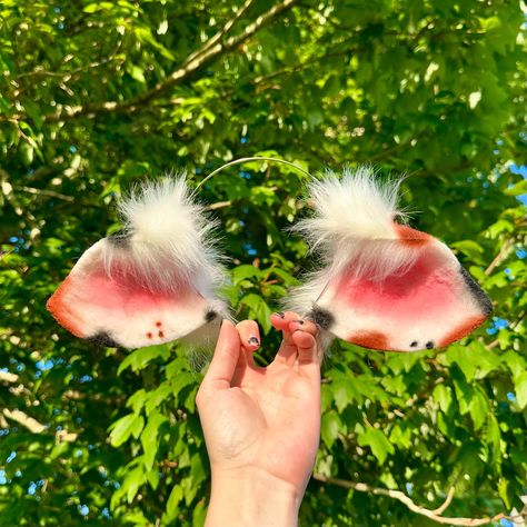 Two new ready to ship cosplay ears! Large Red / Black Anubis Ears & Brown Spotted Cow Ears! ❤️ both available in the ready to ship section in my Et$y Shop! — - - - #puppygirl #puppyears #cosplayears #costumeears #fauxfurears #furryears #cowears Anubis Ears, Goat Headband, Ship Cosplay, Cow Cosplay, Sheep Costume, Sheep Costumes, Spotted Cow, Cow Ears, Cow Costume