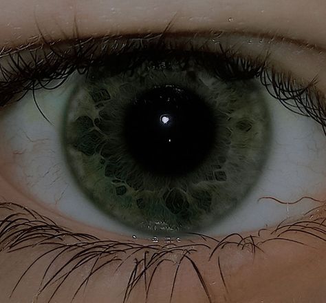 Dull Green Eyes, Glowing Green Eyes Aesthetic, Forest Green Eyes Aesthetic, Black Hair Pale Skin Green Eyes, Dark Olive Green Aesthetic, Dark Green Aethstetic, Dark Green Eyes Aesthetic, Dark Green And Brown Aesthetic, Dark Green Aura