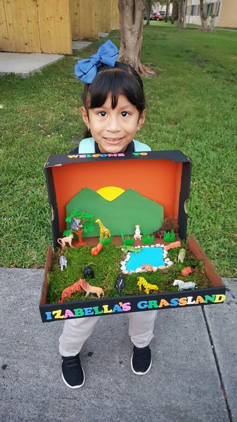 Grassland Diorama Grasslands Diorama School Projects, Grassland Ecosystem Project, Kids Diorama Ideas, Grasslands Habitat Project, Grassland Biome Project, Grasslands Diorama, Giraffe Diorama, Grassland Diorama, Animal Habitat Diorama