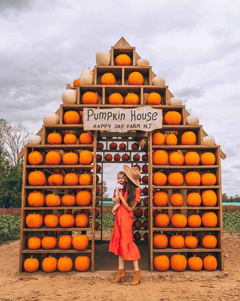 Pumpkin Photo Op Ideas, Pumpkin Patch Photo Backdrop, Pumpkin Displays Outside, Halloween Pumpkin Display, Pumpkin Patch Ideas, Pumpkin Train, Pumpkin Patch Business, Pumpkin Patch Decor, Pumpkin Houses