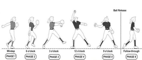 windmill pitching drill diagram Fastpitch Pitching Drills, Pitching Drills Softball, Softball Pitching Drills, Pitching Drills, Softball Cheers, Softball Workouts, Sports Illustration, Softball Pitcher, Softball Drills