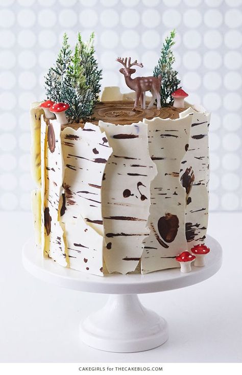 Birch Tree Cakes, Decorated Desserts, Moist Spice Cake, Rodjendanske Torte, Decorate Cake, Shower Outdoor, Spice Cake Recipes, Cake Hacks, Sugared Cranberries