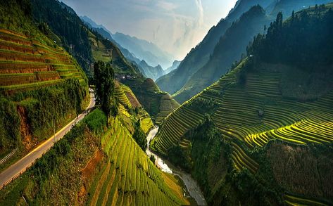 Page 10 | Vietnam HD wallpapers free download | Wallpaperbetter Cheap Honeymoon, Con Dao, Vietnam Voyage, Rice Fields, Rice Terraces, Halong Bay, Vietnam Travel, Mongolia, Asia Travel