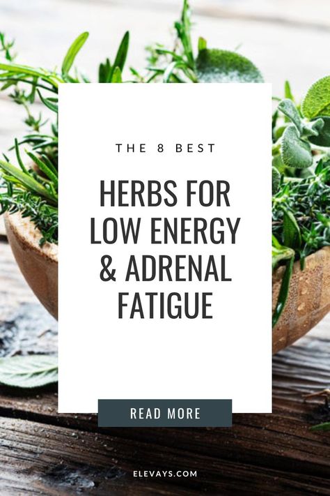 Meals For Adrenal Fatigue, Tincture Recipes For Energy, Natural Herbs For Energy, Herbs For Adrenal Support, Herbs For Fatigue, Herbs For Adrenal Fatigue, Herbs For Thyroid Health, Herbs For Motivation, Herbs For Energy Boost