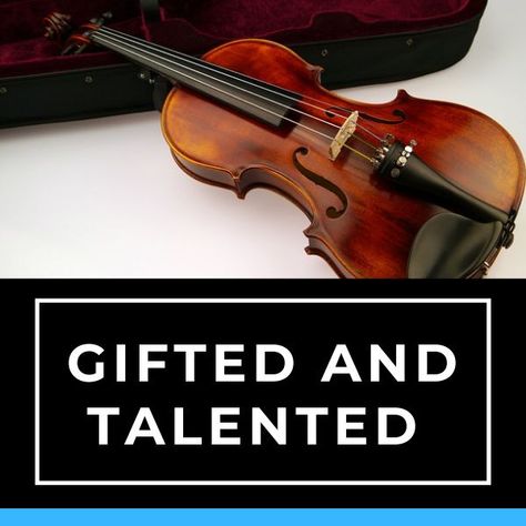 Gifted And Talented Projects, Gifted And Talented Classroom, Gifted And Talented Elementary, Gifted And Talented Activities, Pbl Projects, Twice Exceptional, Gifted Students, Gifted And Talented, Gifted Children