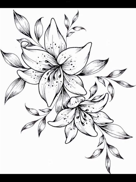 Lily Vine Tattoo Design, Tiger Lily Tattoo Stencil, Lillie Tattoos For Women, Tiger Lilly Tattoo Design, Black And White Lily Tattoo, Lily Outline Tattoo, Tiger Lily Flower Drawing, Lily Floral Tattoo, Tiger Lilly Drawing