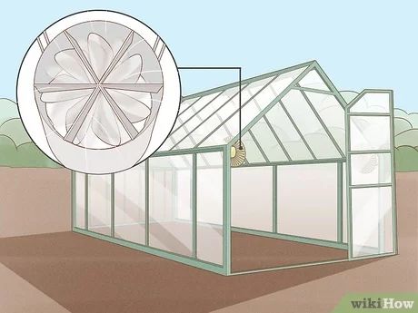 How to Grow Orchids in a Greenhouse (with Pictures) - wikiHow Life How To Grow Orchids, Grow Orchids, Hanging Orchid, Orchid House, Shade House, Vanda Orchids, Types Of Orchids, Growing Orchids, Natural Sunlight