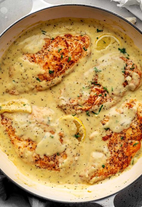 This Creamy Garlic Parmesan Chicken recipe features tender chicken fillets in a rich, creamy sauce made with garlic, fresh Parmesan cheese, and perfect seasonings. Chicken Malibu, Creamy Herb Chicken, Balsamic Roast, Creamy Garlic Parmesan Chicken, Chicken Fillet Recipes, Malai Chicken, Pork Tenderloins, Chicken Fillets, Baked Ranch Chicken