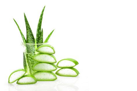 Slice aloe vera useful herbal medicine f... | Premium Photo #Freepik #photo #water #leaf #medical #nature Herbal Logo Design, Aloe Vera Image, Aloe Vera Gel Forever, Herbal Logo, Skin Care And Hair Care, Photo Water, Tanning Skin Care, Fresh Aloe Vera, Turmeric Milk