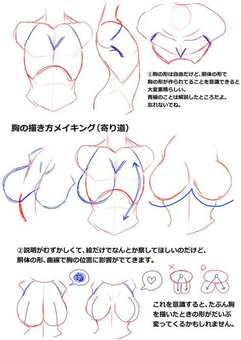 Character Anatomy, Female Anatomy Reference, Drawing Female Body, Siluete Umane, Body Drawing Tutorial, Human Anatomy Art, Anatomy Sketches, Body Reference Drawing, 인물 드로잉