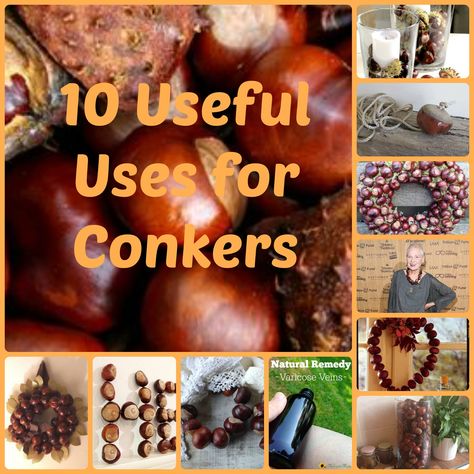 Chestnut Crafts Ideas, Things To Make With Conkers, What To Do With Conkers, Horse Chestnut Craft, Things To Do With Conkers, Conker Decor, Conker Decorations, Conker Craft Ideas, Conker Art