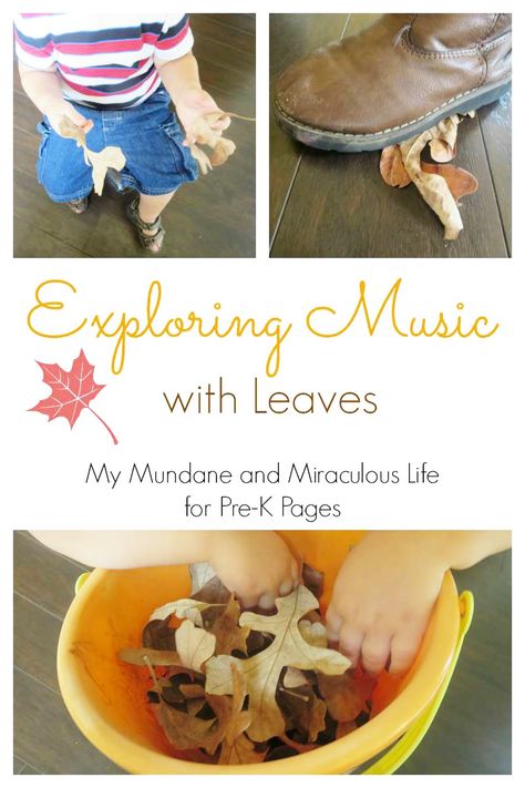 Exploring Music with Leaves. The perfect activity for a fall theme in preschool! Music Fine Motor Activities, Fall Music Activities, Tree Unit, Toddler Music, Autumn Music, Autumn Preschool Theme, Movement Preschool, Music Vocabulary, Preschool Music Activities