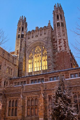 Yale Law School | Flickr - Photo Sharing! Yale University Law School, Yale Campus Aesthetic, Yale Law Aesthetic, Oxford Law School, Yale University Aesthetic Campus, Yale Law School Aesthetic, Harvard Law School Aesthetic, Yale University Aesthetic, Yale Aesthetic