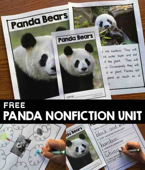 Nonfiction Panda Activities Panda Activities, Kids Gratitude Journal, Gratitude Journal For Kids, Literacy Coach, Panda Theme, Montessori Geography, Classroom Science, Kung Fu Panda 3, Kindergarten Rocks