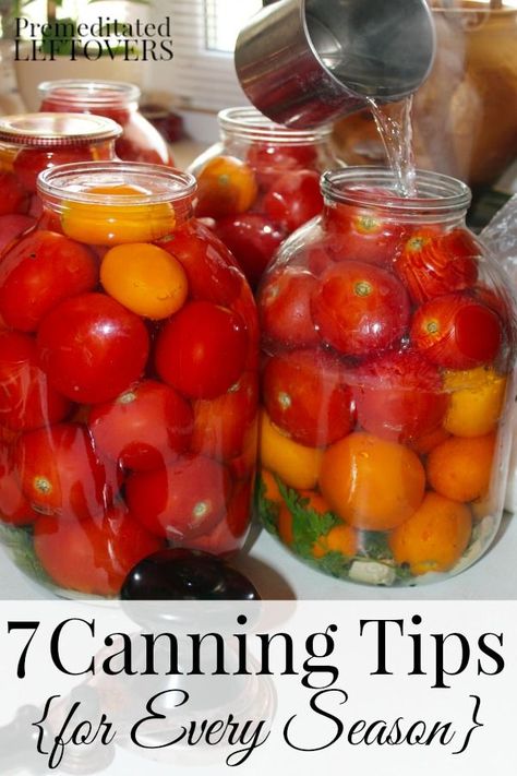 Canning can save you money and prepare your family for hard times or emergencies. Here are 7 Canning Tips for Every Season to help you get started. Canned Veggies, Food Canning, Canning 101, Preserving Foods, Canning Pickles, Home Canning Recipes, Canning Vegetables, Canning Food Preservation, Canned Food Storage