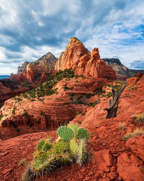 Desert Pictures Photography, Desert Enclosure, Deserts Landscapes, Mesa Landscape, Sedona Photography, Dessert Landscape, Sedona Landscape, Desert Landscape Photography, Desert Photos