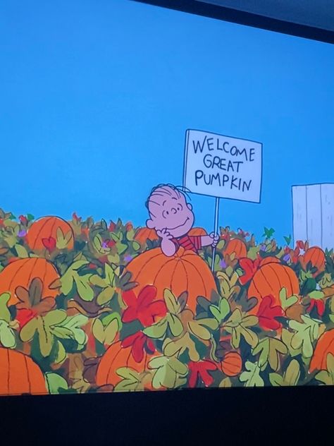 The Great Pumpkin Charlie Brown, Great Pumpkin Charlie Brown, The Great Pumpkin, Great Pumpkin, Summer Sky, Spooky Halloween, Pumpkin Patch, Charlie Brown, Halloween