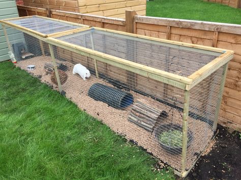 Homemade Rabbit Run                                                                                                                                                                                 More Rabbit Ideas Outdoor, Outside Cage For Rabbits, Diy Bunny Run Outdoor, Rabbit Outdoor House Ideas, Outdoor Rabbit Run Diy, Rabbit Outdoor Play Area, Outside Guinea Pig Enclosure, Homemade Chicken Run, Homemade Rabbit Cage Outdoor