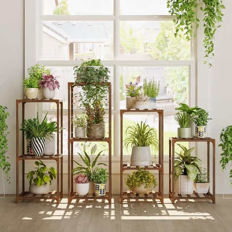 Indoor plant shelves