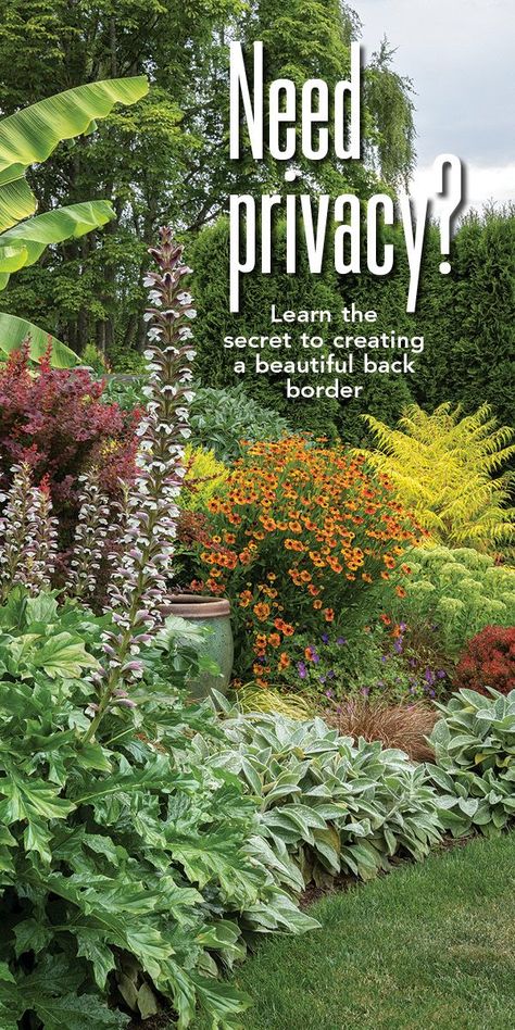 Hide Fence With Plants, Cover Fence With Plants, Garden Fence Planting Ideas, Plants Against Wall Outdoor, Landscaping To Hide Fence, How To Hide A Fence, Plants To Hide Fence, Living Privacy Fence Ideas, Plants To Cover Fence