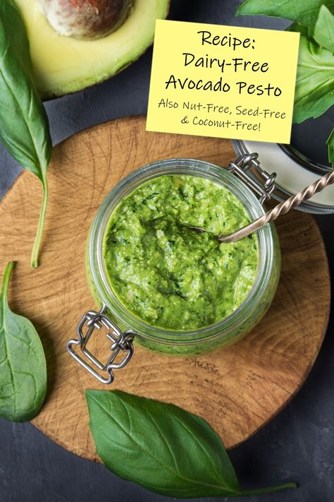 Dairy-Free Avocado Pesto Recipe Dairy Free Pesto Recipe, Avocado Pesto Recipe, Nut Free Pesto, Stocked Pantry, Dairy Free Pesto, Pesto Recipes, Vegan Dips, Sandwich Sauces, Avocado Pesto