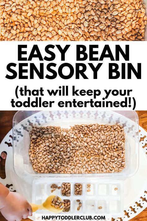 An easy sensory bin idea for toddlers and preschoolers. This engaging sensory bin provides fine motor practice through a simple scoop, pour, and transfer activity. Great indoor activity for toddlers! Engaging sensory play to keep your toddler entertained. Indoor Activity For Toddlers, Easy Sensory Bin, Sensory Bin Play, Summer Activities For Toddlers, Fall Sensory Bin, Fall Sensory, Toddler Sensory Bins, Sophie Grace, Fine Motor Practice