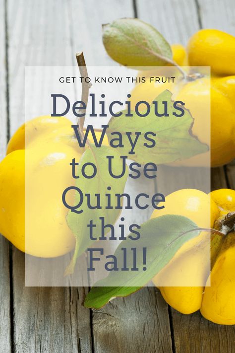 Quince Recipes Easy, Quince Fruit Recipes, South Recipes, Rare Fruits, Quince Jam, Quince Recipes, Quince Paste, Quince Jelly, Quince Fruit