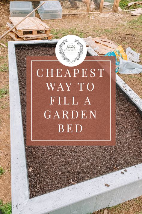 How To Fill A Garden Bed For Free Soiless Gardening, Fill A Raised Garden Bed, Cheap Raised Garden Beds, Raised Garden Beds Diy Vegetables, Lasagna Gardening, Garden Bed Layout, Diy Garden Bed, Cheap Garden, Garden Boxes Raised