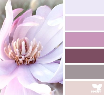 Colors Color Palette Colour Schemes, Palette Colour Schemes, Magnolia Colors, Seeds Color, Design Seeds, Color Story, Boutique Interior, Color Palette Design, Color Harmony