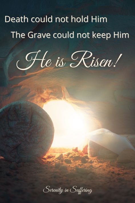 He is Risen, rejoice in your Lord! #serenityinsuffering #rejoice #resurrection #heisrisen #easter #encouragement Jesus Is Risen Image, He Is Risen Quotes The Resurrection, Jesus Has Risen Easter, He Had Risen, He Is Risen Images, Easter Quotes Religious, He Is Risen Quotes, Resurrection Quotes, He Has Risen Easter